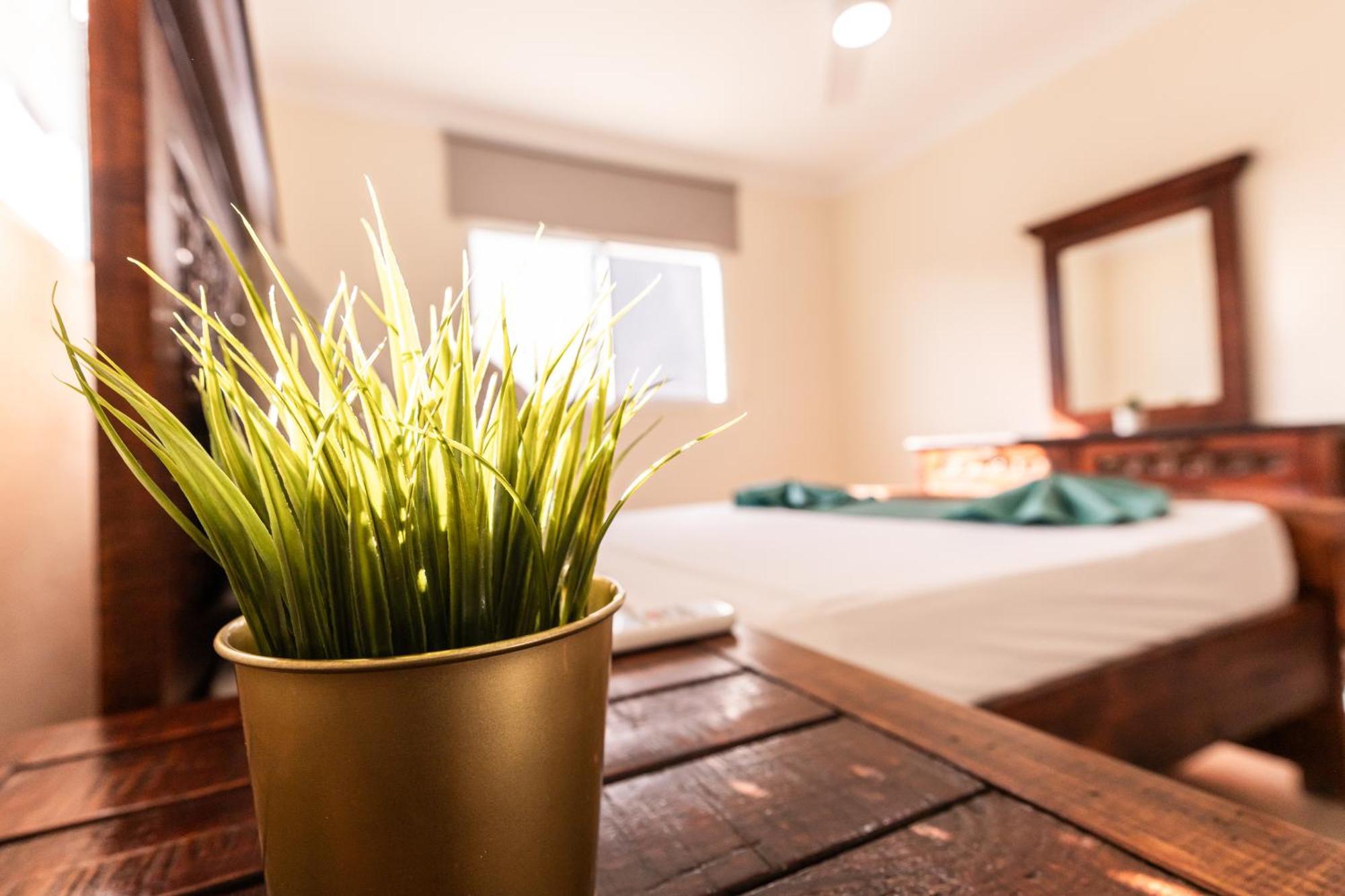 Hostal Las Rosas De Punta Cana Luaran gambar